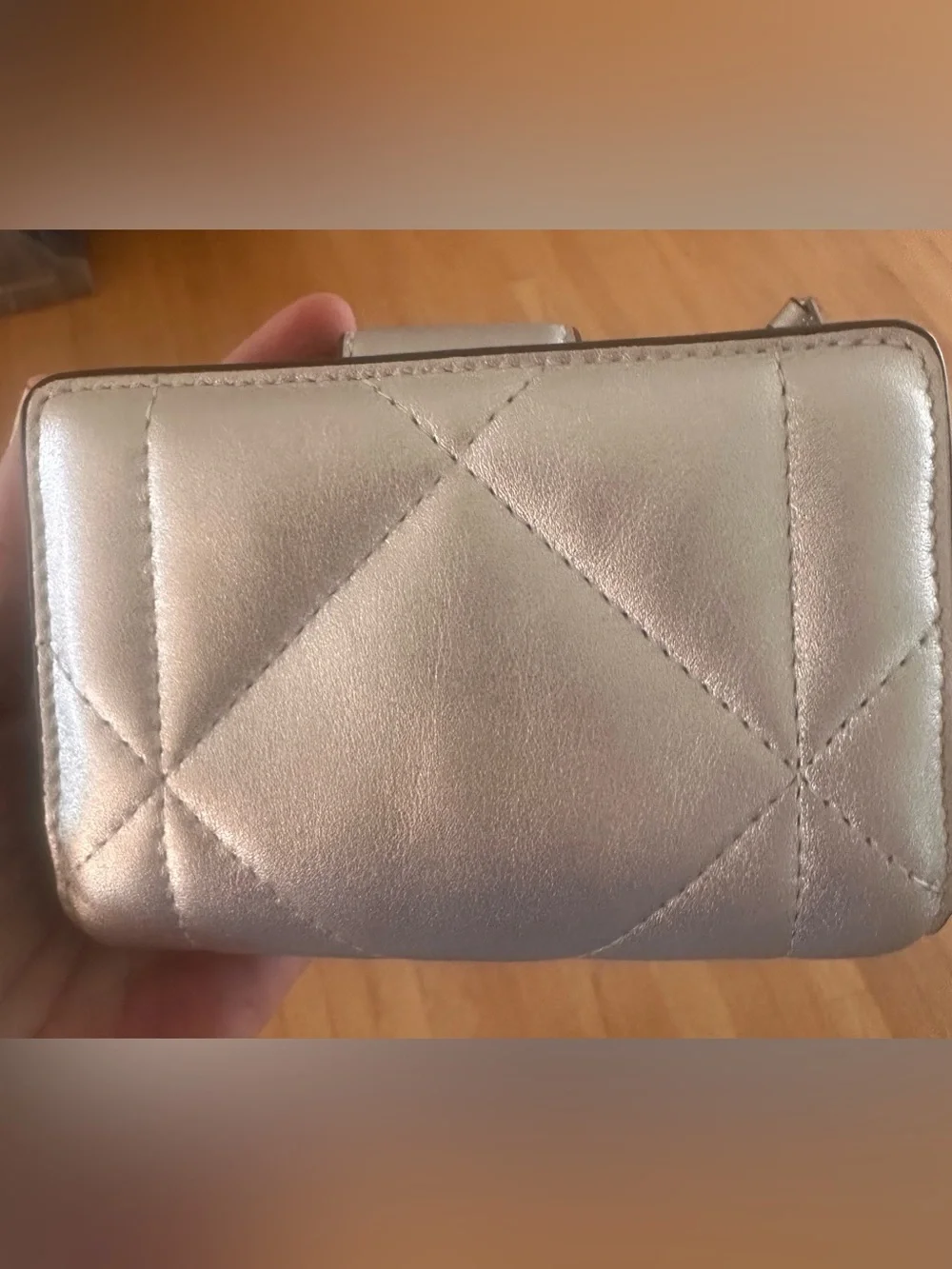 Coach Metallic Silver Teri Shoulder Bag & Wallet Set